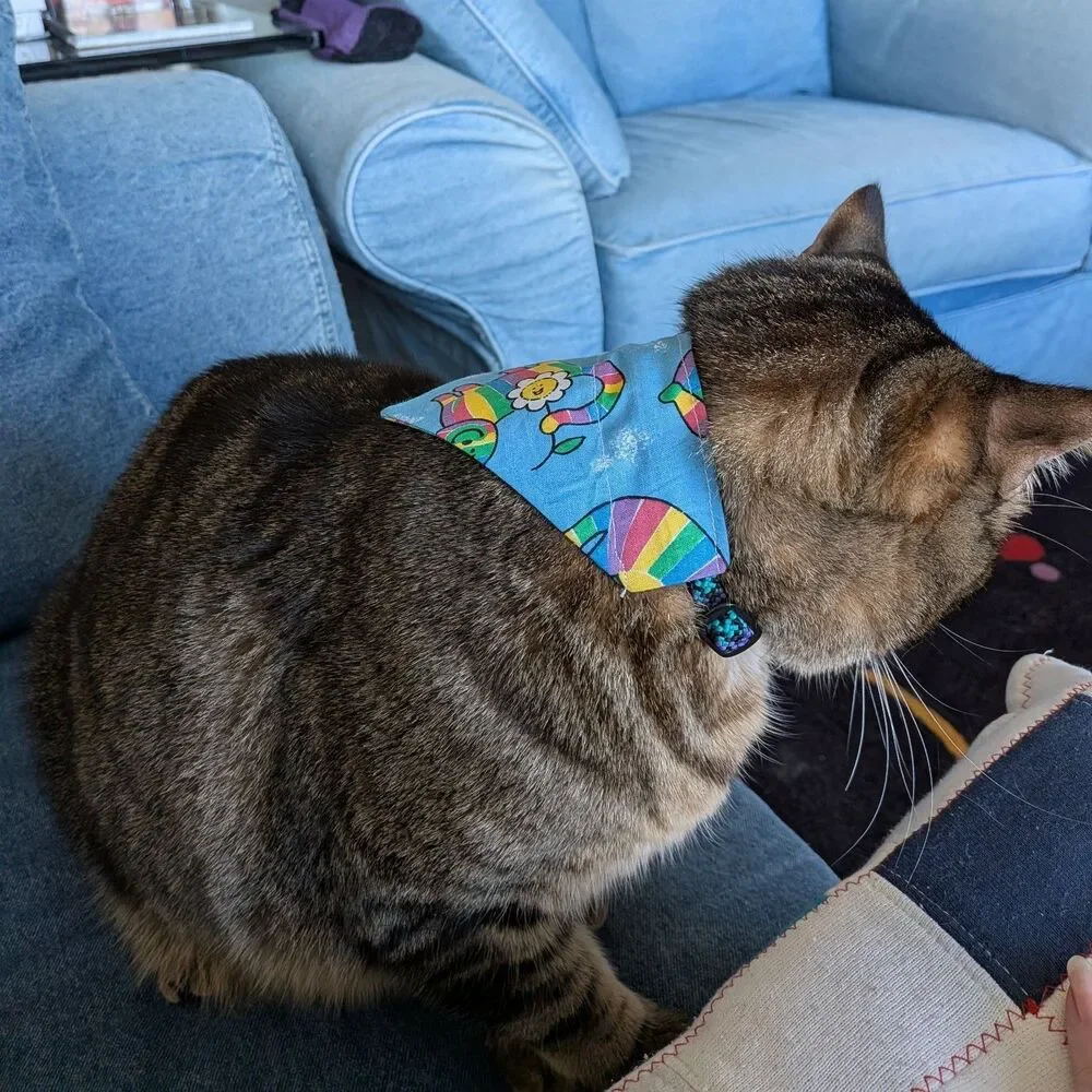 Small Dog / Cat Bandanas Lot of 12